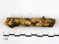 登錄號:F0007651藏品圖，第1張