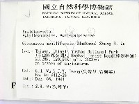 登錄號:F0007652藏品圖，第2張