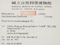 登錄號:F0007654藏品圖，第2張