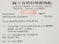 登錄號:F0007656藏品圖，第2張