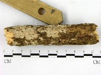 登錄號:F0007656藏品圖，第1張