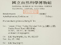 登錄號:F0007657藏品圖，第2張