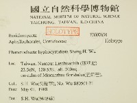 登錄號:F0007658藏品圖，第2張