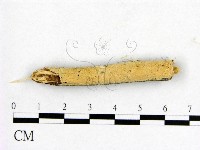 登錄號:F0007659藏品圖，第1張