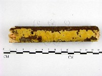 登錄號:F0007660藏品圖，第1張