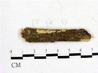 登錄號:F0007661藏品圖，第1張