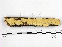 登錄號:F0007662藏品圖，第1張