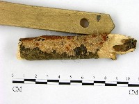 登錄號:F0007663藏品圖，第1張