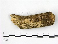 登錄號:F0007664藏品圖，第1張