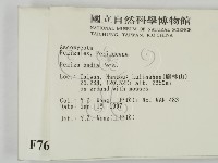 登錄號:F0007668藏品圖，第2張