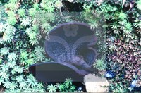 登錄號:F0007668藏品圖，第4張