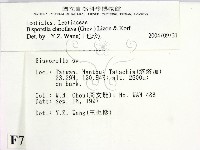 登錄號:F0007671藏品圖，第2張