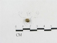 登錄號:F0007673藏品圖，第3張