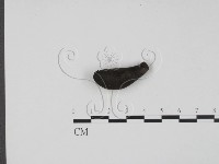 登錄號:F0007674藏品圖，第3張