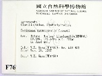 登錄號:F0007676藏品圖，第2張