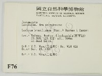 登錄號:F0007677藏品圖，第2張