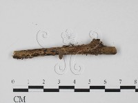 登錄號:F0007677藏品圖，第3張