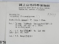 登錄號:F0007679藏品圖，第2張