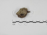 登錄號:F0007680藏品圖，第1張