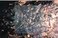 登錄號:F0007680藏品圖，第4張