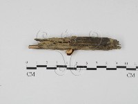 登錄號:F0007681藏品圖，第1張