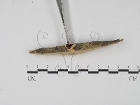 登錄號:F0007681藏品圖，第3張