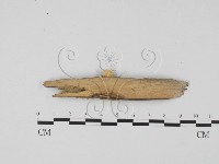 登錄號:F0007681藏品圖，第4張