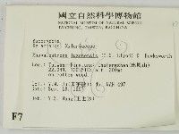 登錄號:F0007682藏品圖，第2張