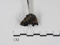 登錄號:F0007682藏品圖，第3張