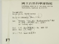 登錄號:F0007683藏品圖，第2張