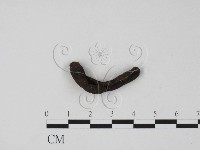 登錄號:F0007683藏品圖，第1張