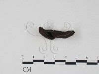 登錄號:F0007683藏品圖，第3張