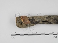 登錄號:F0007686藏品圖，第1張