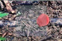 登錄號:F0007686藏品圖，第4張