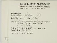 登錄號:F0007687藏品圖，第2張