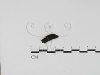 登錄號:F0007687藏品圖，第1張