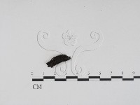 登錄號:F0007687藏品圖，第3張