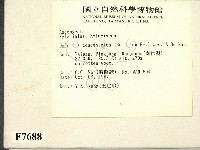 登錄號:F0007688藏品圖，第2張