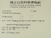 登錄號:F0007689藏品圖，第2張