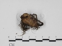 登錄號:F0007689藏品圖，第3張