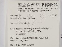 登錄號:F0007690藏品圖，第2張