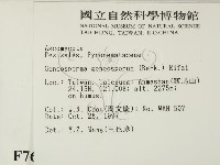 登錄號:F0007691藏品圖，第2張