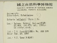 登錄號:F0007692藏品圖，第2張