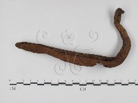 登錄號:F0007692藏品圖，第3張