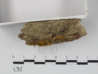 登錄號:F0007693藏品圖，第3張