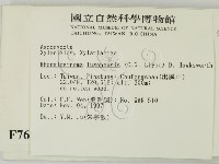 登錄號:F0007694藏品圖，第2張