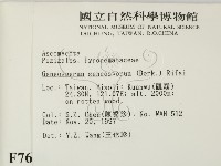 登錄號:F0007696藏品圖，第2張