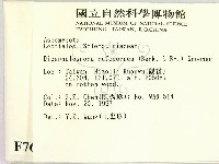 登錄號:F0007698藏品圖，第2張