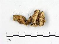 登錄號:F0007698藏品圖，第1張