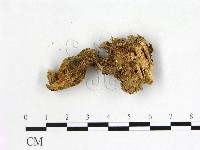 登錄號:F0007698藏品圖，第3張